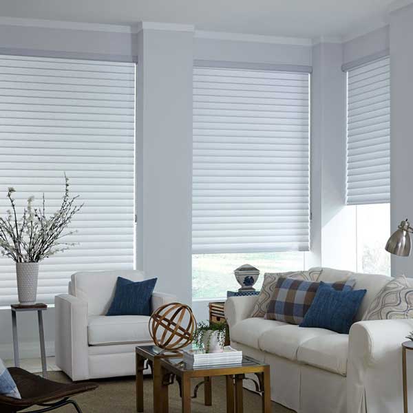 Pleated Blinds